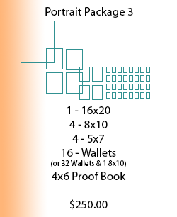 portrait package 3 price guide, portrait photography pricing, portrait photography, portrait photographer, portrait session, portrait prices