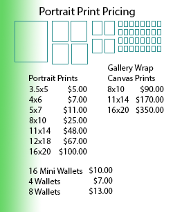 portrait print pricing, price guide, portrait photography pricing, portrait photography, portrait photographer, portrait session, portrait prices