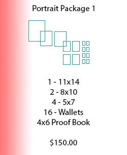 portrait package 1 price guide, portrait photography pricing, portrait photography, portrait photographer, portrait session, portrait prices